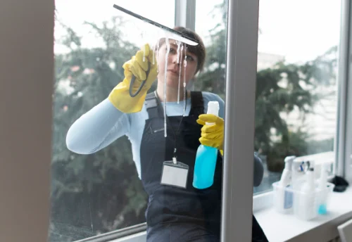 Nettoyage de vitres intérieures et extérieures à Romain
